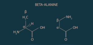 Beta-Alanin Molekül Struktur