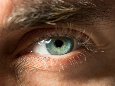 Auge mit grüner Pupille 