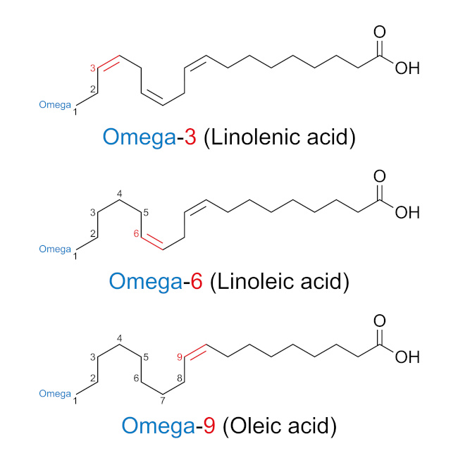 Chemische Verbindung von Omega-3