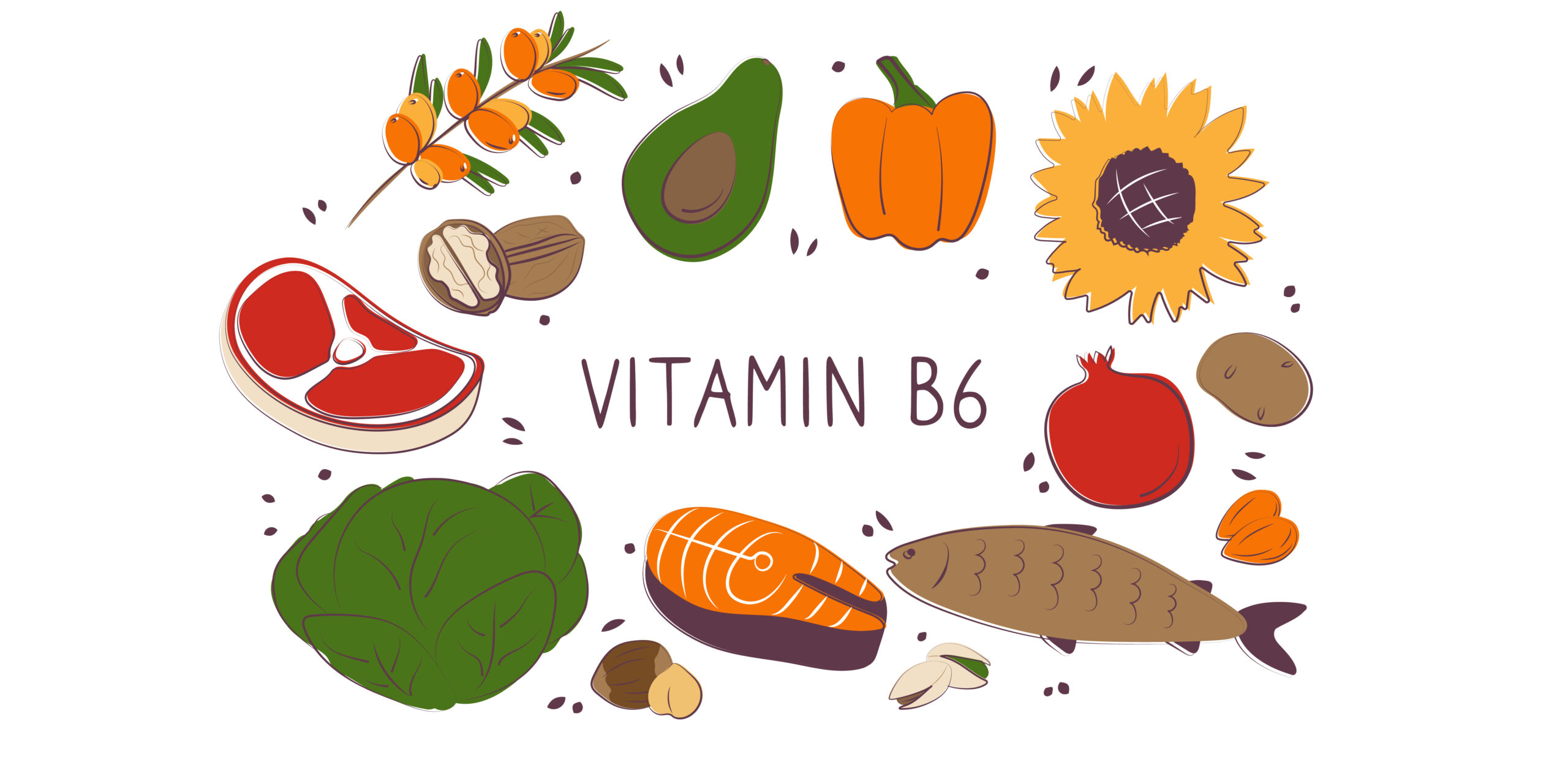 Vitamin B6: Wirkung, Bedarf, Lebensmittelquellen