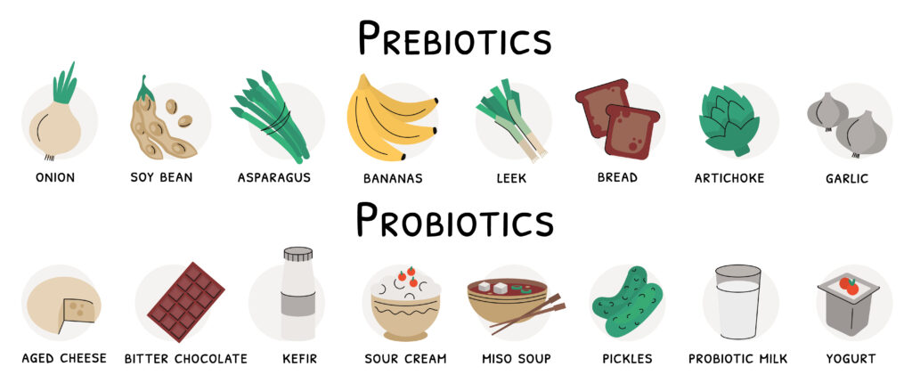 Lebensmittel Probiotika/Präbiotika