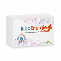 Ribo Energie DE_1790363_1